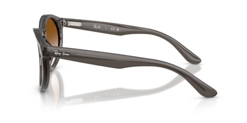 Ray-Ban RB R0505S 6707CB reverse