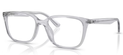 Ray-Ban RX7248D 8411