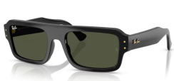 Ray-Ban RB 4454 667731 Flacko