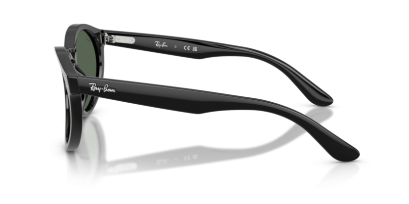 Ray-Ban RB R0505S 6677VR reverse