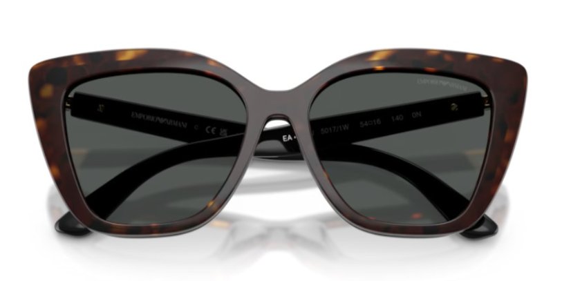 EMPORIO ARMANI EA4254U 50171W