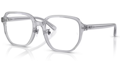 Ray-Ban RX 5424D 8415