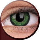 Phantasee  Vivid Green