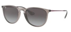 Ray-Ban RB 4171 65138G ERIKA