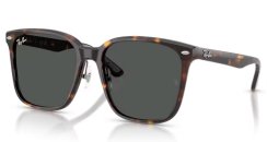 Ray-Ban RB 2206D 710/87