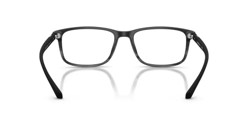 EMPORIO ARMANI EA3098 5566