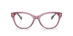RALPH RA7141 6008