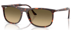 Ray-Ban RB 2216 14290A