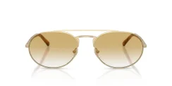 EMPORIO ARMANI EA2171 30022Q