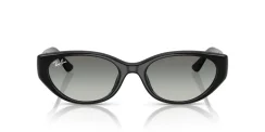 RAY-BAN RB4457D 667711