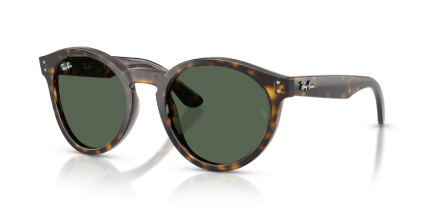 Ray-Ban RB R0505S 6790VR reverse
