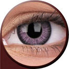 Phantasee   Vivid Violet
