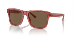 EMPORIO ARMANI EA4208 605373