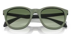 EMPORIO ARMANI EA4211 50011W