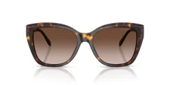 EMPORIO ARMANI EA4198 502613