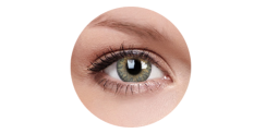 ColourVUE  Trublends Brown
