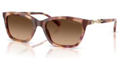 EMPORIO ARMANI 4238 619674