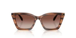 EMPORIO ARMANI EA4250U 626613