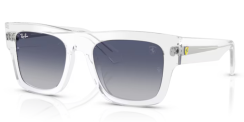 Ray-Ban RB 2217M F7064L