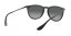 Ray-Ban RB 4171 622/T3 ERIKA