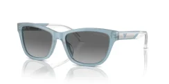 EMPORIO ARMANI EA4227U 609611