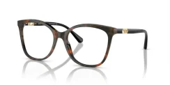 EMPORIO ARMANI EA3231 6060