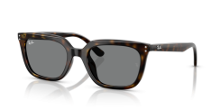 Ray-Ban RB 4439D 710/87