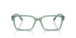 EMPORIO ARMANI EA3244 6176