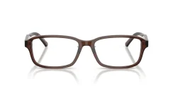EMPORIO ARMANI EA3215D 5307