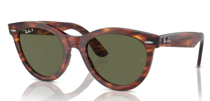 Ray-Ban RB 2241 954/58 Wayfarer way