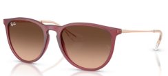 Ray-Ban RB 4171 6815A5 ERIKA