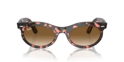 RAY-BAN RB2242 WAYFARER OVAL 133451