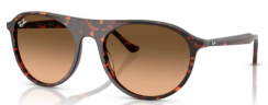 Ray-Ban RB 2215 14293B