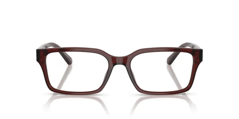 EMPORIO ARMANI EA3244 6174