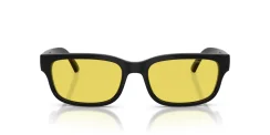 ARNETTE AN4363 DEFYER 290085