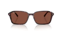 RAY-BAN RB2231 RAIMOND 1416C5