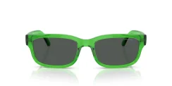 ARNETTE AN4363 DEFYER 301487