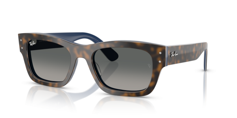 Ray-Ban RB 7683S 140171 Joseph