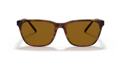 ARNETTE AN4291 CORTEX 277083