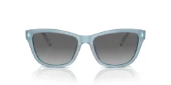 EMPORIO ARMANI EA4227U 609611