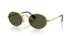 RAY-BAN 0RB3931 001/31