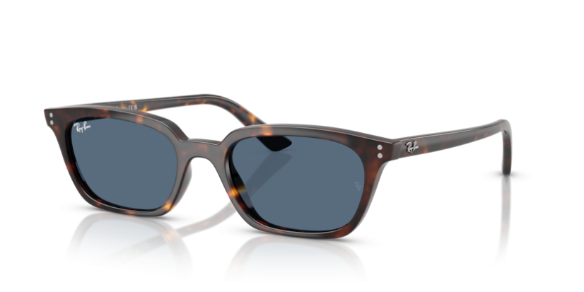 Ray-Ban RB 4456 135980 Zaya