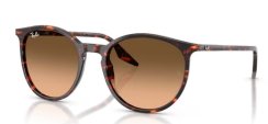 Ray-Ban RB 2204 14293B