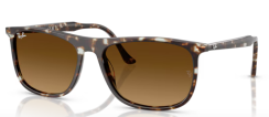 Ray-Ban RB 2216 143185