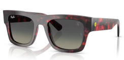 Ray-Ban RB 2217M F70511