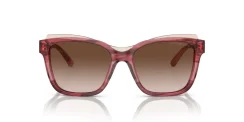 EMPORIO ARMANI EA4209 605713
