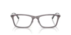 EMPORIO ARMANI EA3252D 6206