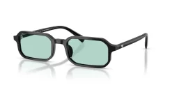 EMPORIO ARMANI EA4253U 501765
