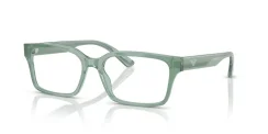 EMPORIO ARMANI EA3244 6176