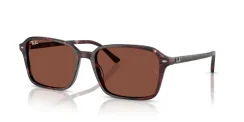 RAY-BAN RB2231 RAIMOND 1416C5